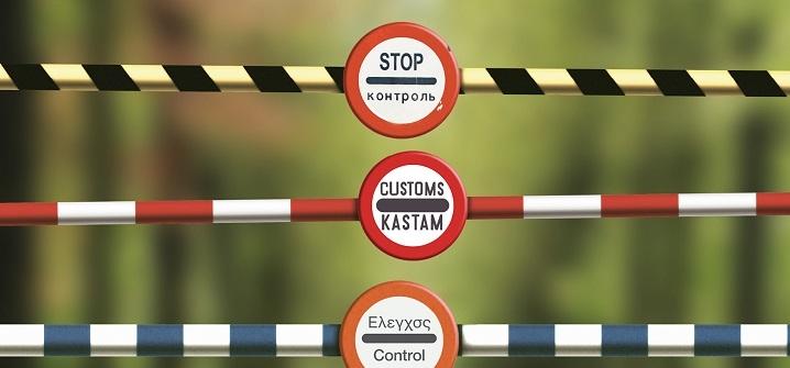 customs clearance